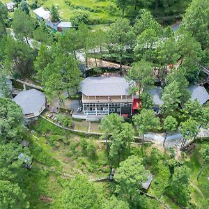 The Woods Retreat